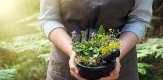 5 Mittelalterliche Heilpflanzen als natürliche Gesundheitshelfer