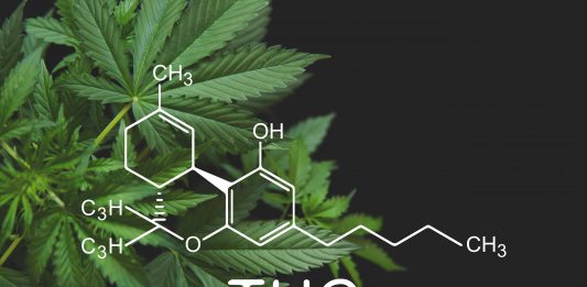 THC ist einer von vielen Wirkstoffen der Cannabis-Pflanze.